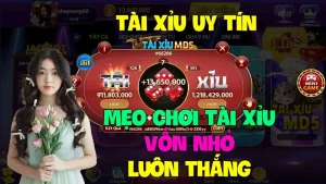 Mẹo đánh tài xỉu MD5