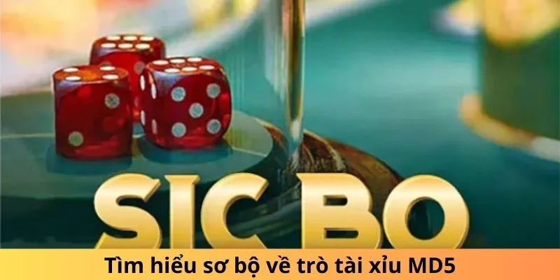 Tài xỉu MD5 là gì?